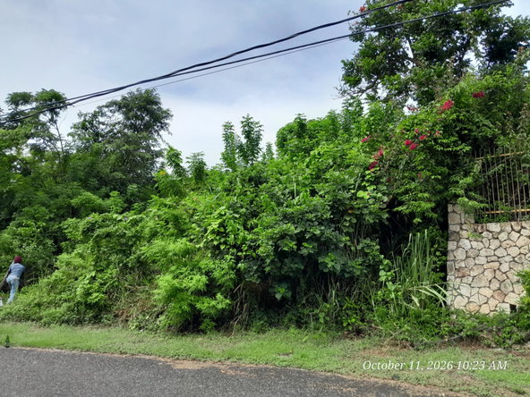Seventh image of 242 Orchard Gardens in Hopewell, Hanover, Jamaica - property is For Sale