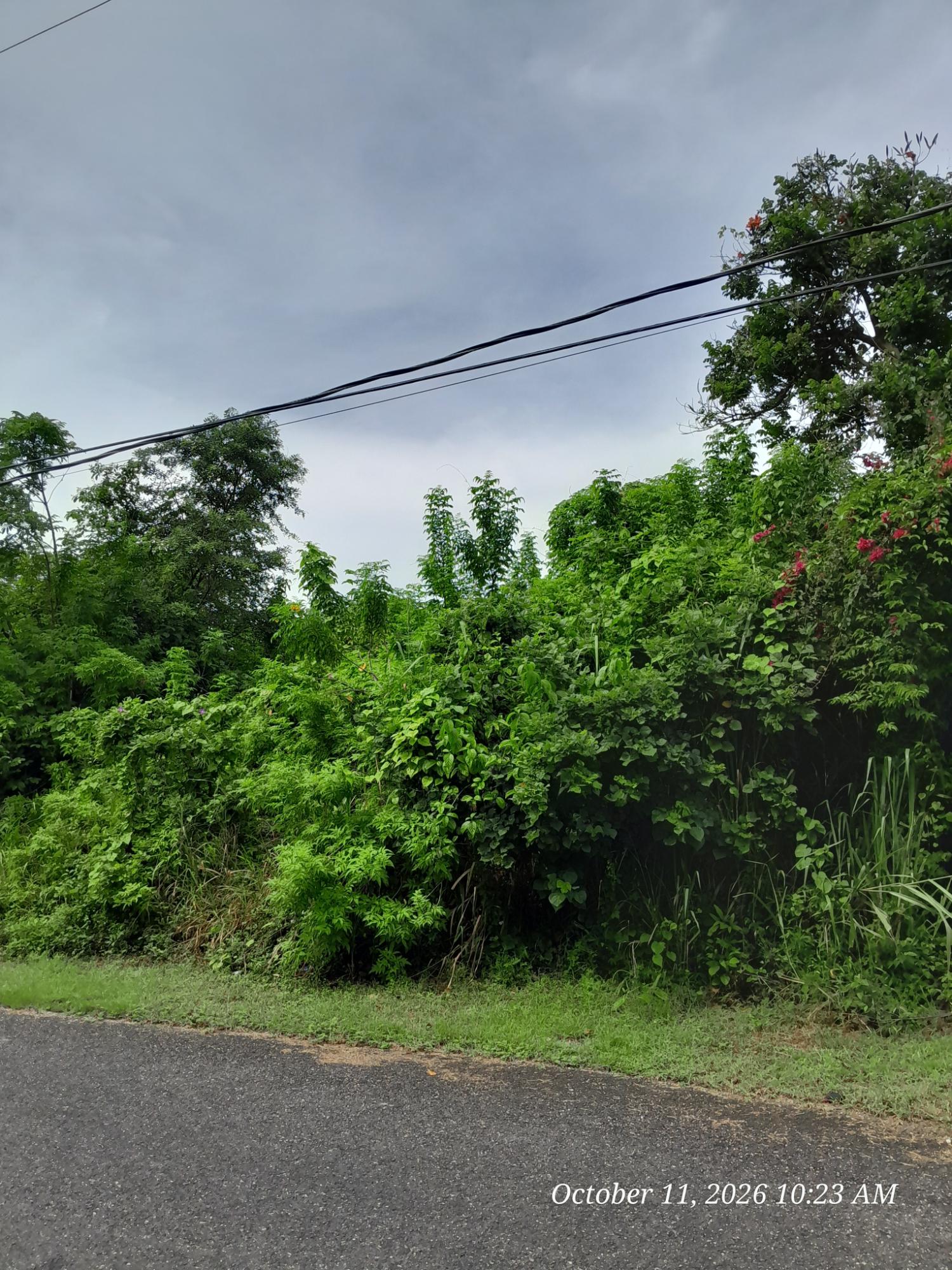Eighth image of 242 Orchard Gardens in Hopewell, Hanover, Jamaica - property is For Sale