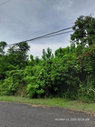 Eighth image of 242 Orchard Gardens in Hopewell, Hanover, Jamaica - property is For Sale