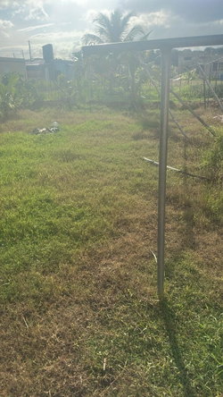 Fifth image of 549- Winchester Green Island in Green Island, Hanover, Jamaica - property is For Sale