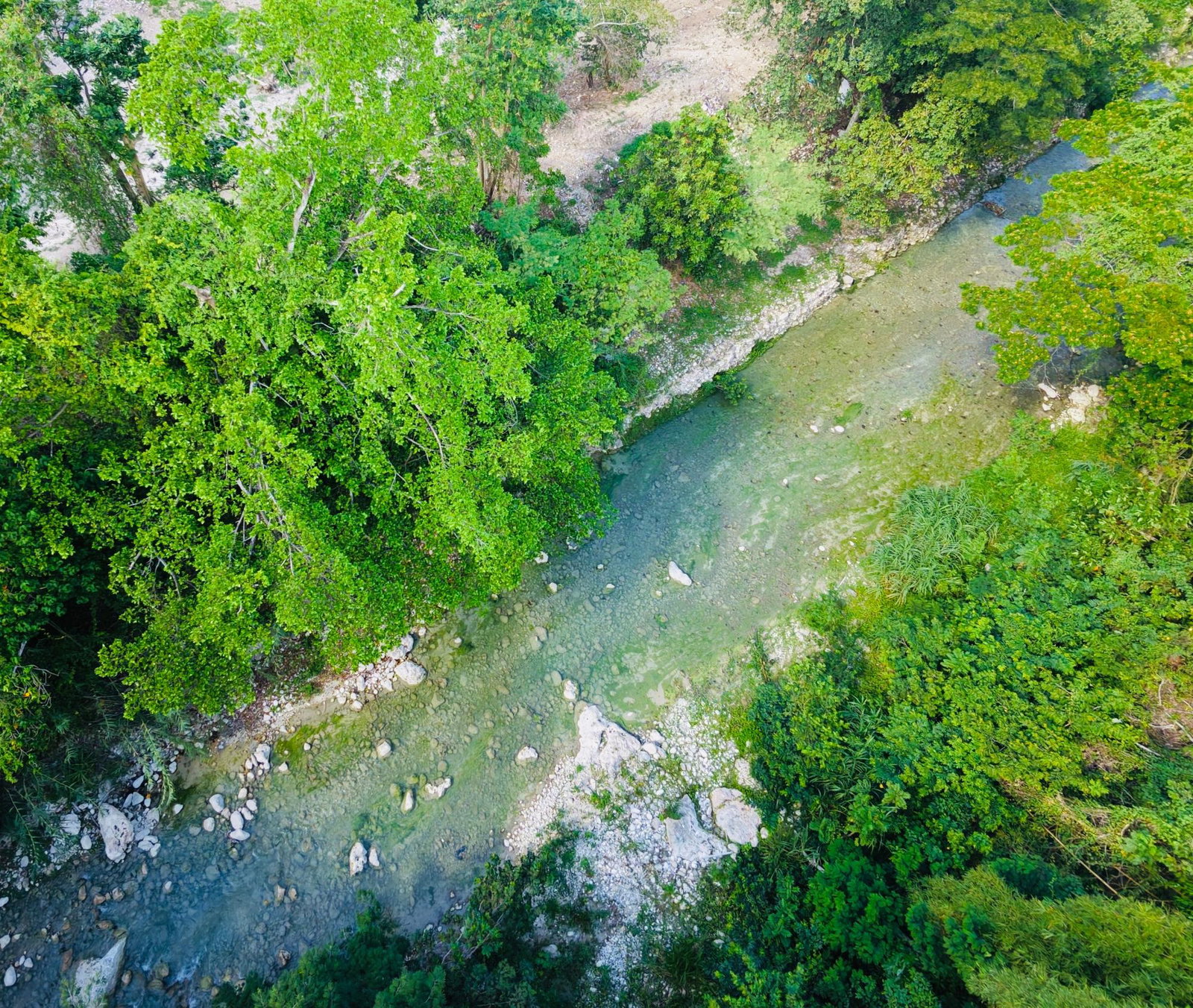 Eighth image of Lot 2- Rio Nuevo Commercial Estate in Spring Valley, St. Mary, Jamaica - property is For Rent