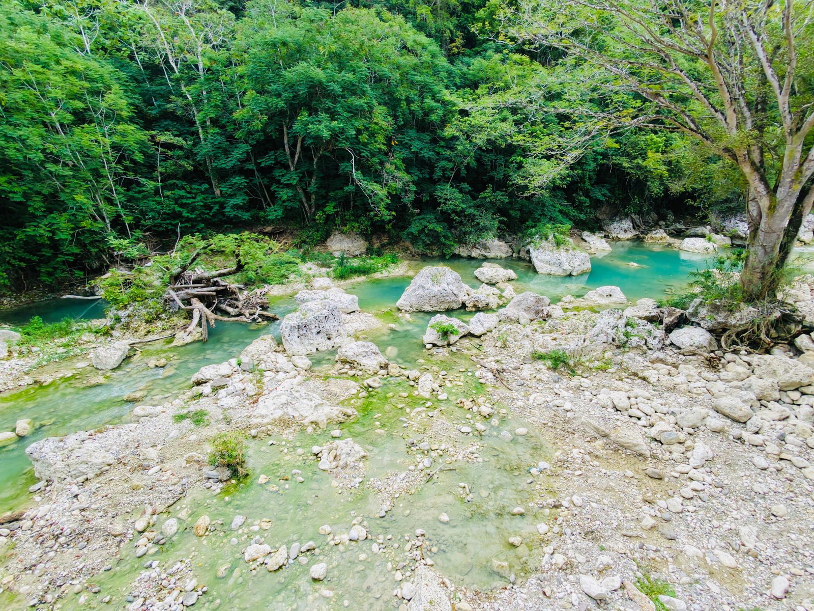 Ninth image of Lot 2- Rio Nuevo Commercial Estate in Spring Valley, St. Mary, Jamaica - property is For Rent