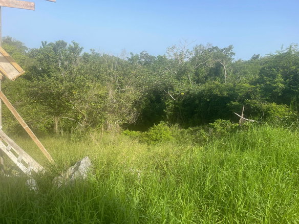 First image of 341 Moorlands Manor (ph 3a) in Mandeville, Manchester, Jamaica - property is For Sale