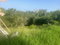 First image of 341 Moorlands Manor (ph 3a) in Mandeville, Manchester, Jamaica - property is For Sale