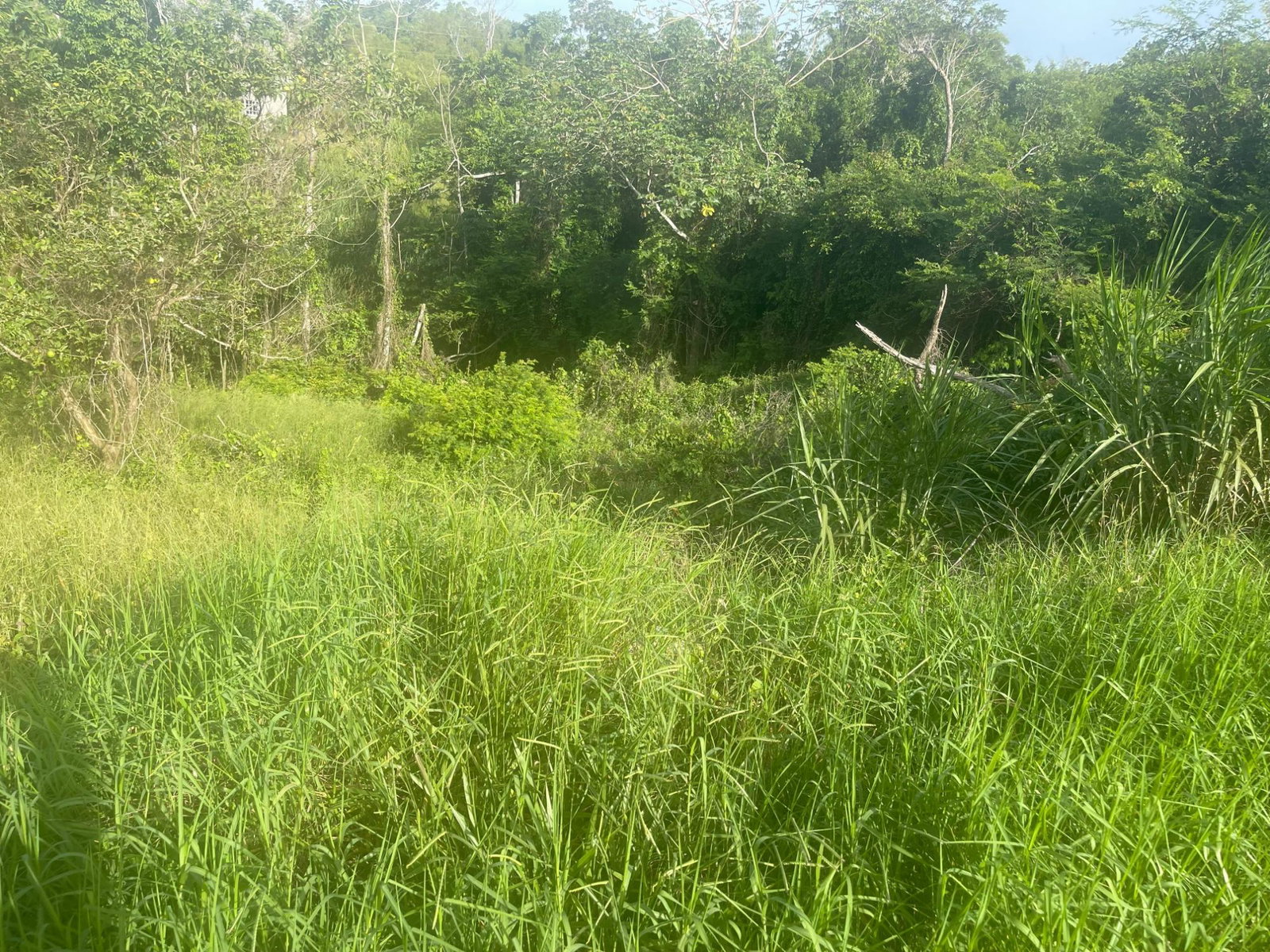 Second image of 341 Moorlands Manor (ph 3a) in Mandeville, Manchester, Jamaica - property is For Sale