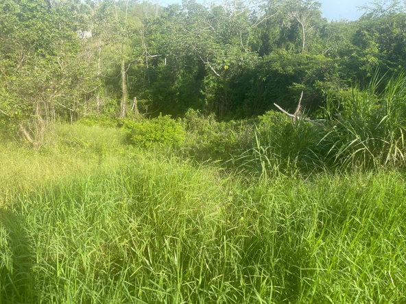 Second image of 341 Moorlands Manor (ph 3a) in Mandeville, Manchester, Jamaica - property is For Sale