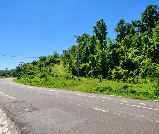 First image of Sheffield in SHEFFIELD, Westmoreland, Jamaica - property is For Sale