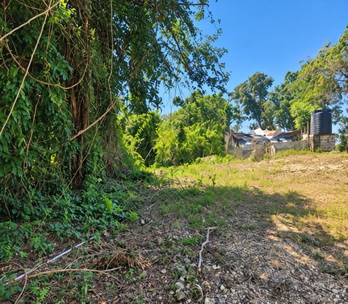 Second image of Sheffield in SHEFFIELD, Westmoreland, Jamaica - property is For Sale