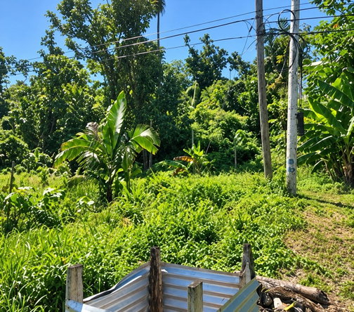 Third image of Sheffield in SHEFFIELD, Westmoreland, Jamaica - property is For Sale