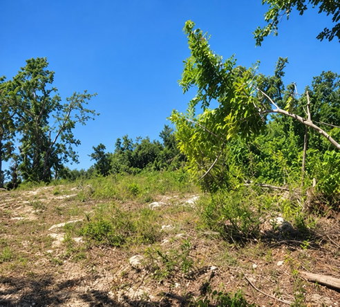 Fifth image of Sheffield in SHEFFIELD, Westmoreland, Jamaica - property is For Sale