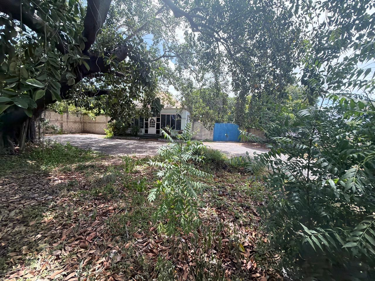 Tenth image of 15 Balmoral Avenue in Kingston 10, St. Andrew, Jamaica - property is For Rent