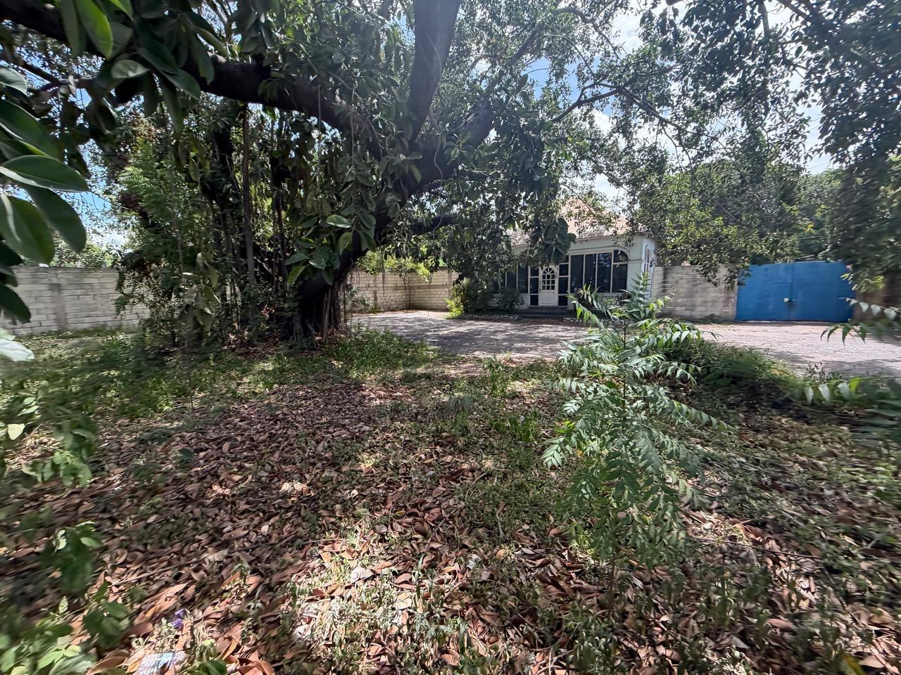 Fourth image of 15 Balmoral Avenue in Kingston 10, St. Andrew, Jamaica - property is For Rent