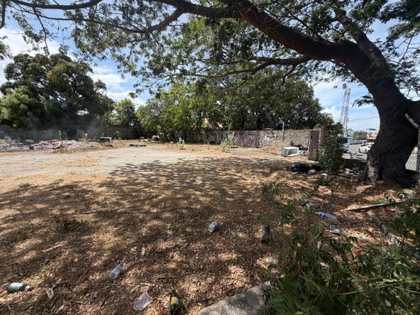 Third image of 11 Balmoral Avenue in Kingston 10, St. Andrew, Jamaica - property is For Rent