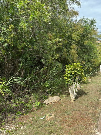 Fourth image of Lot 472 Moorlands Estate in Mandeville, Manchester, Jamaica - property is For Sale