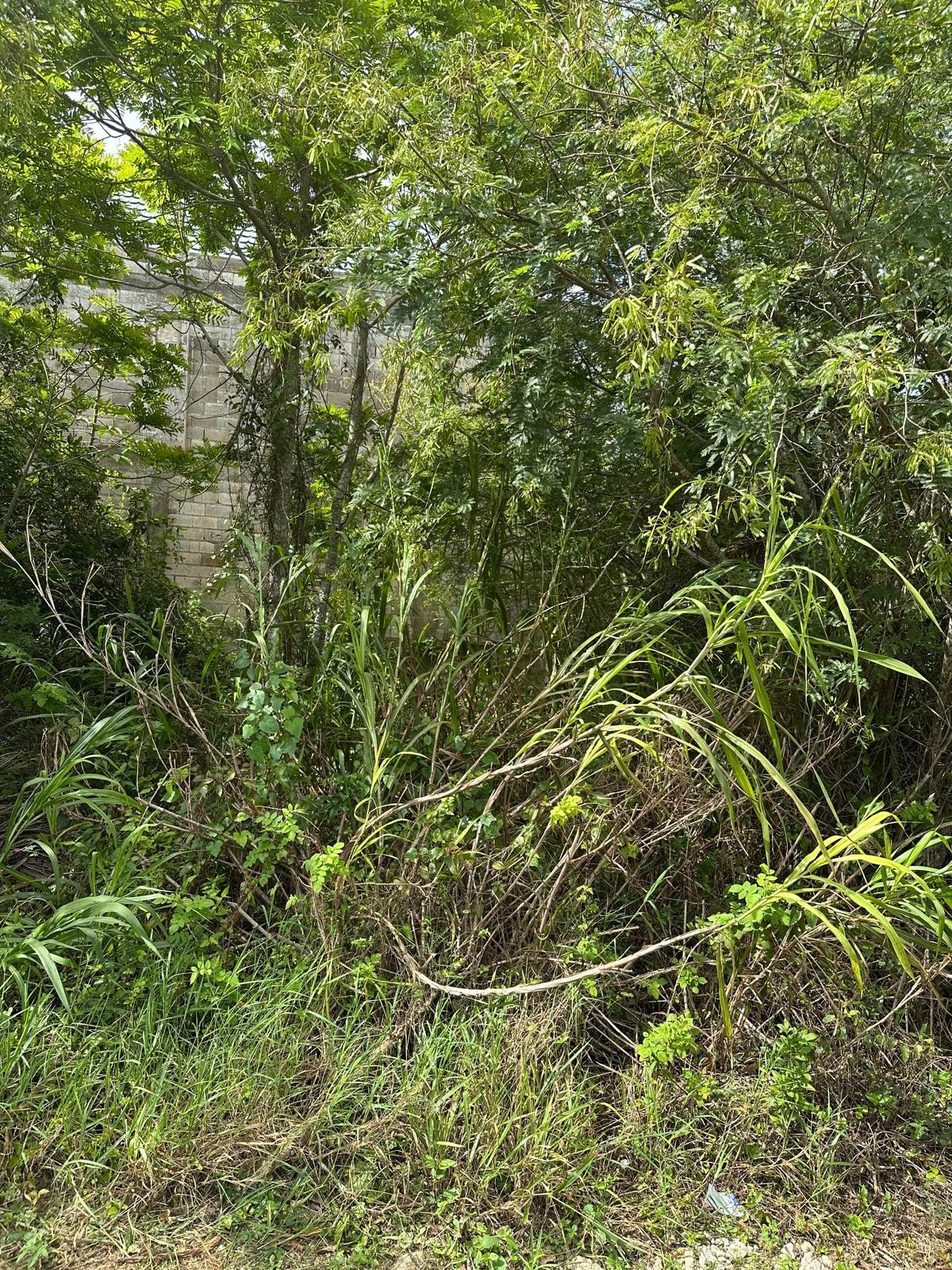 Fifth image of Lot 472 Moorlands Estate in Mandeville, Manchester, Jamaica - property is For Sale