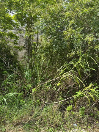 Fifth image of Lot 472 Moorlands Estate in Mandeville, Manchester, Jamaica - property is For Sale