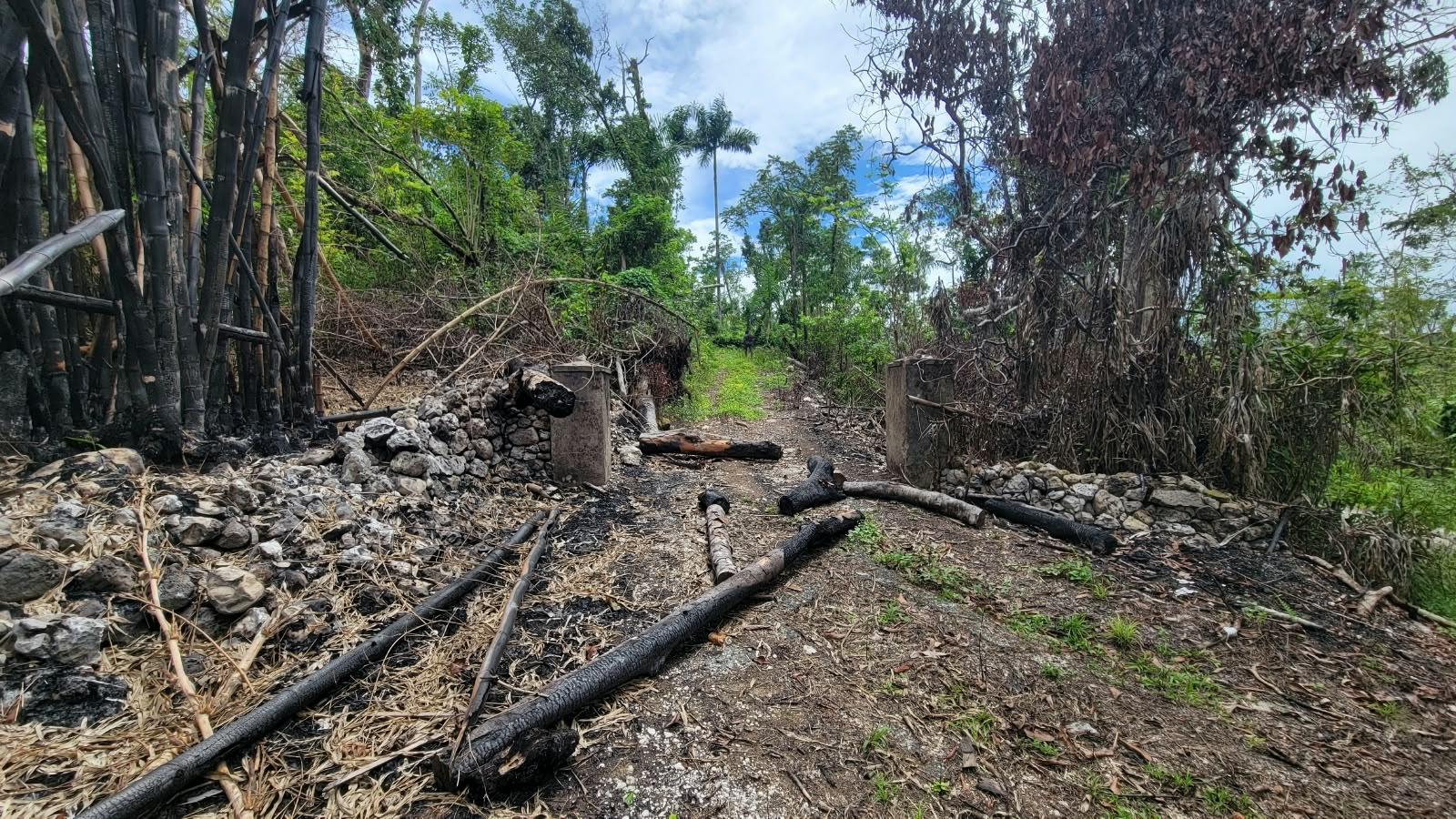 Tenth image of Lot 2 Mammee Ridge, Lime Hall in Lime Hall, St. Ann, Jamaica - property is For Sale