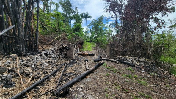 Tenth image of Lot 2 Mammee Ridge, Lime Hall in Lime Hall, St. Ann, Jamaica - property is For Sale