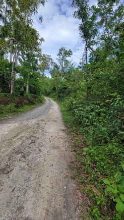 Eleventh image of Lot 2 Mammee Ridge, Lime Hall in Lime Hall, St. Ann, Jamaica - property is For Sale