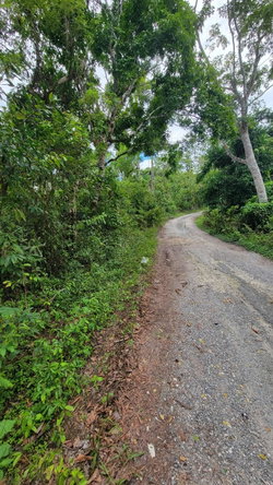Twelfth image of Lot 2 Mammee Ridge, Lime Hall in Lime Hall, St. Ann, Jamaica - property is For Sale