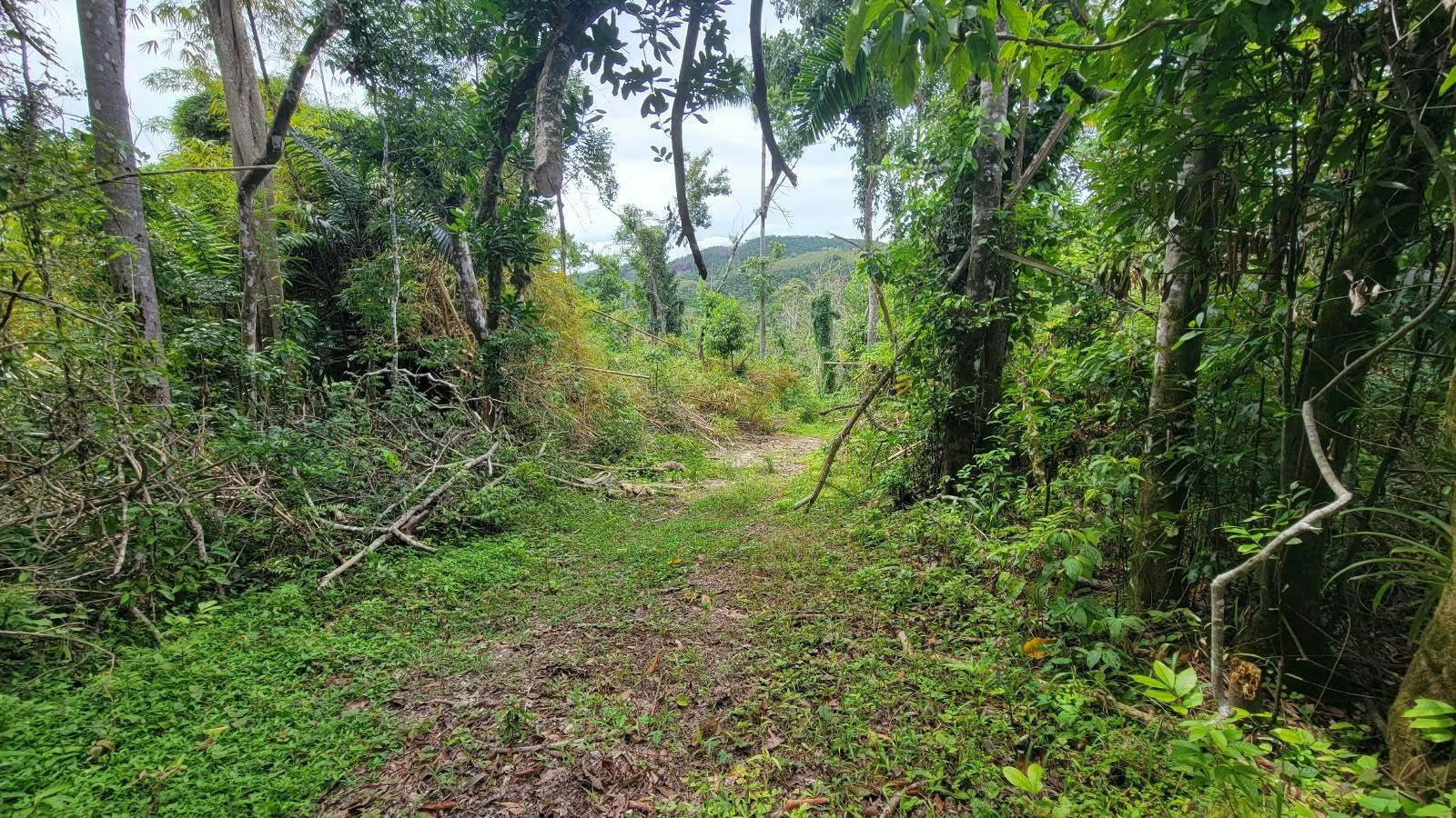 Second image of Lot 2 Mammee Ridge, Lime Hall in Lime Hall, St. Ann, Jamaica - property is For Sale