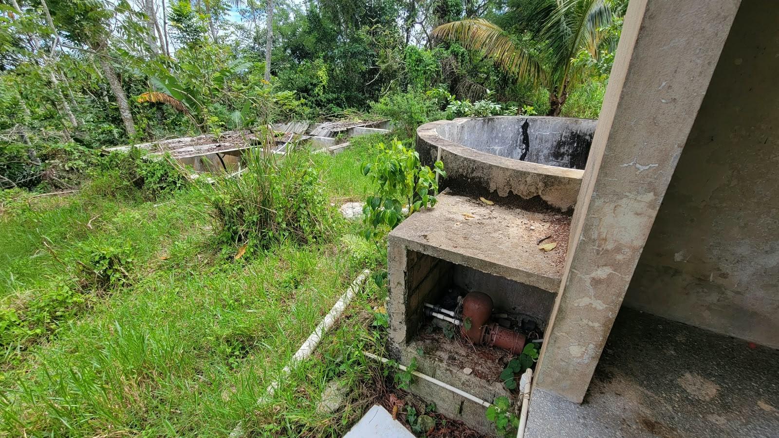 Sixth image of Lot 2 Mammee Ridge, Lime Hall in Lime Hall, St. Ann, Jamaica - property is For Sale