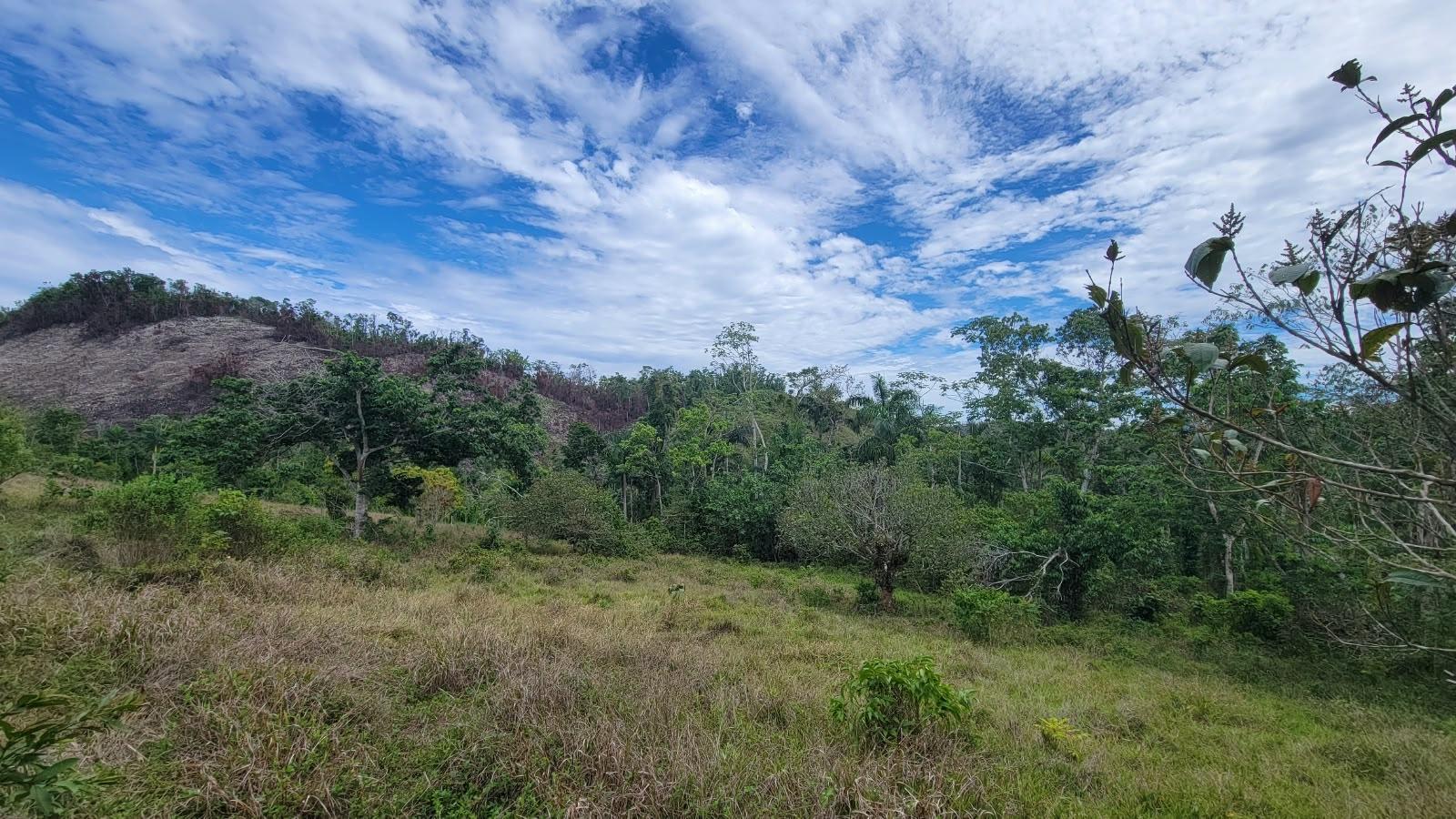 Seventh image of Lot 2 Mammee Ridge, Lime Hall in Lime Hall, St. Ann, Jamaica - property is For Sale