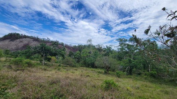 Seventh image of Lot 2 Mammee Ridge, Lime Hall in Lime Hall, St. Ann, Jamaica - property is For Sale
