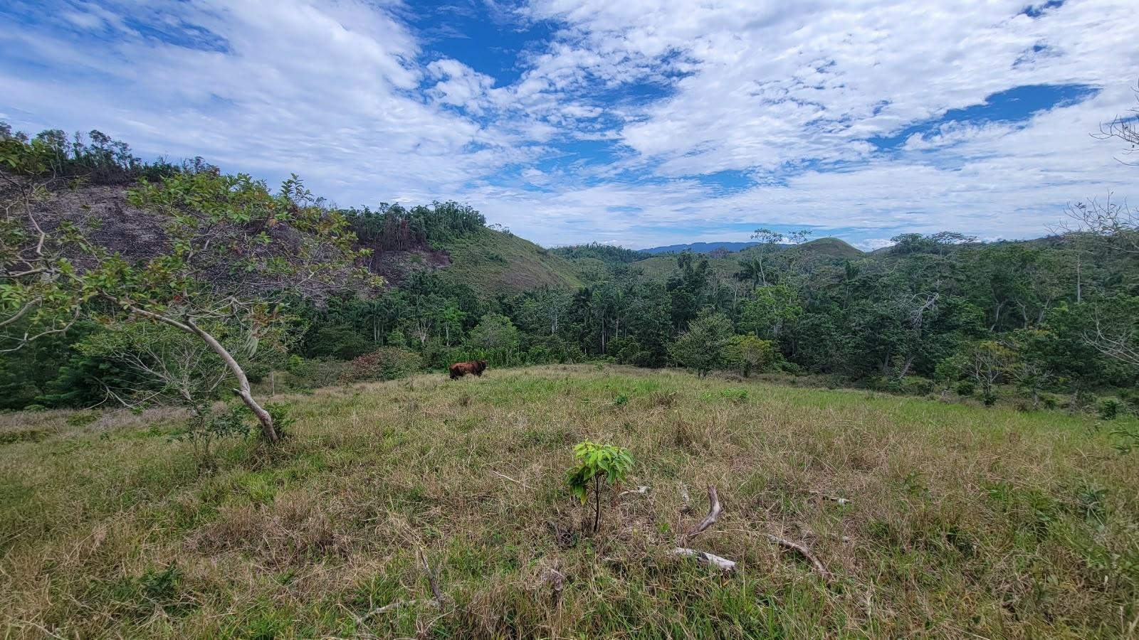 Ninth image of Lot 2 Mammee Ridge, Lime Hall in Lime Hall, St. Ann, Jamaica - property is For Sale