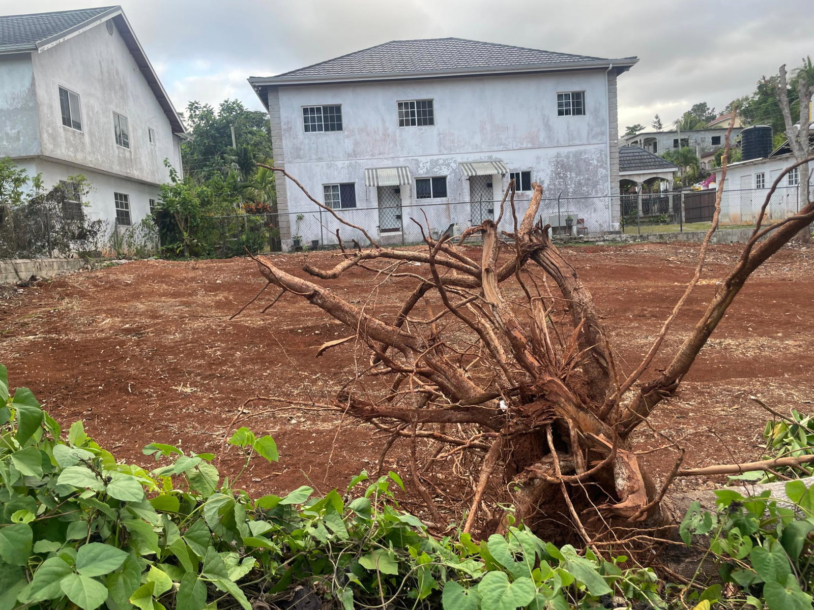 Second image of Lot-26 Woodlawn, Mandeville in Mandeville, Manchester, Jamaica - property is For Sale