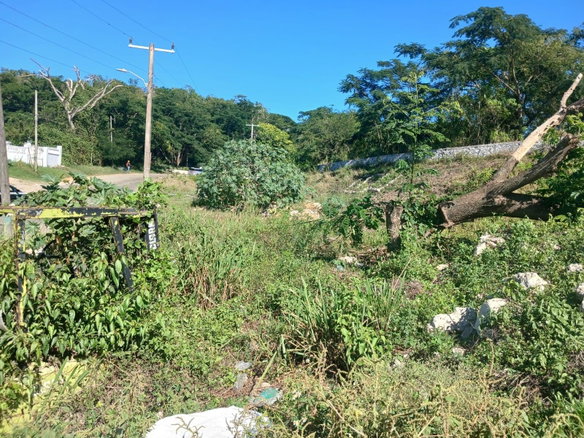 First image of Land Part of Greenvale pe in MILE GULLY, Manchester, Jamaica - property is For Sale