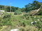 First image of Land Part of Greenvale pe in MILE GULLY, Manchester, Jamaica - property is For Sale