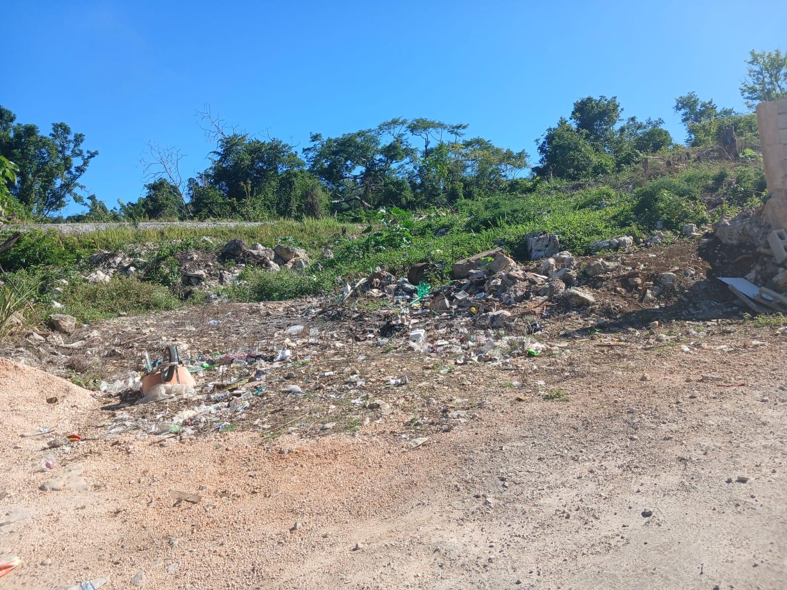 Second image of Land Part of Greenvale pe in MILE GULLY, Manchester, Jamaica - property is For Sale