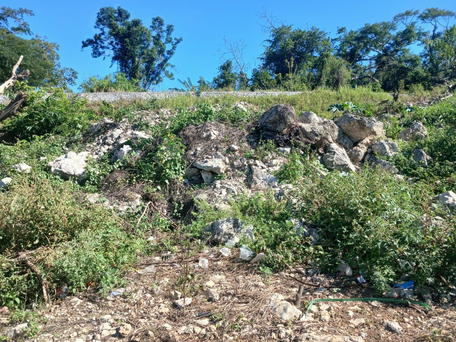 Third image of Land Part of Greenvale pe in MILE GULLY, Manchester, Jamaica - property is For Sale