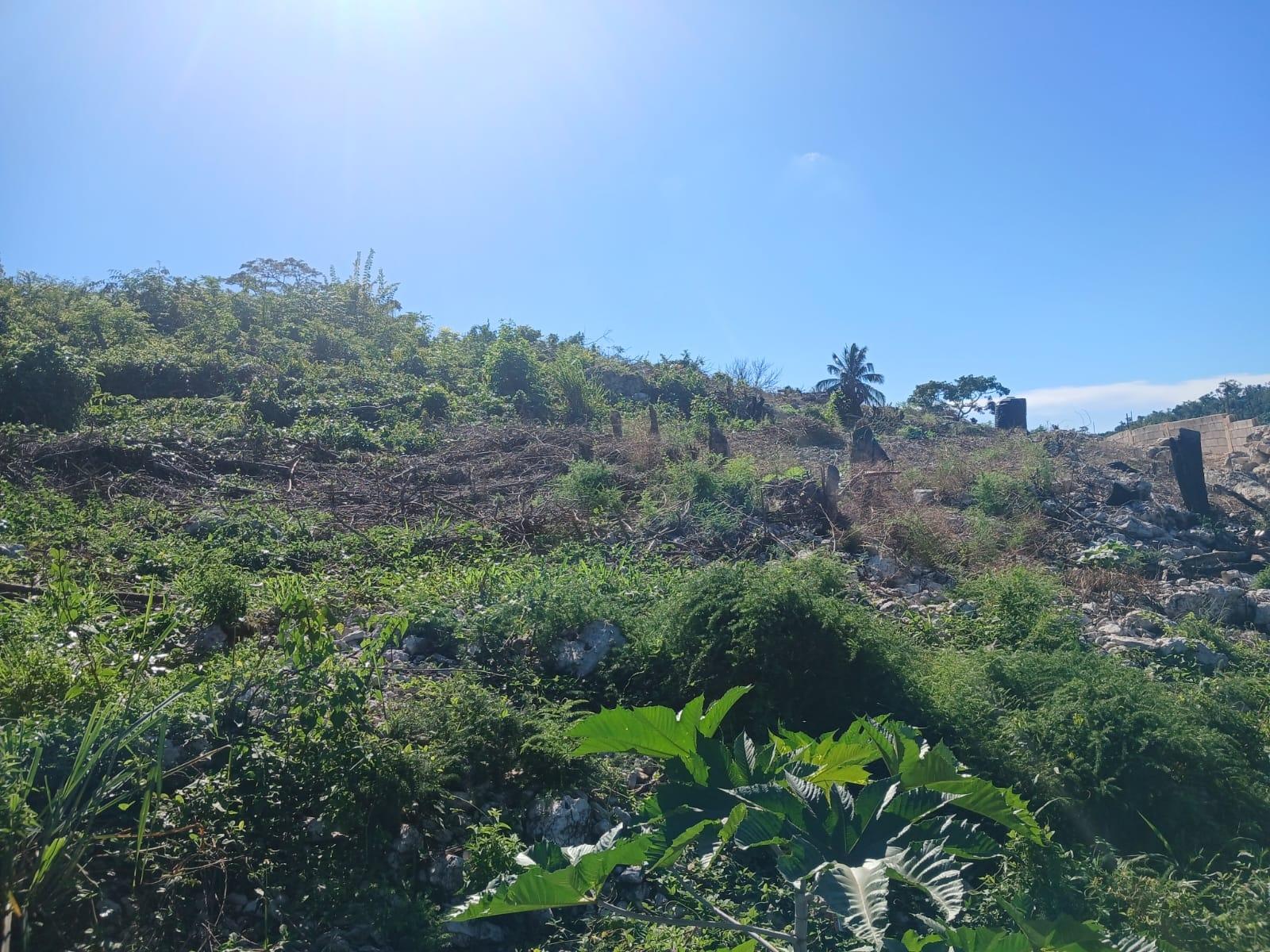 Sixth image of Land Part of Greenvale pe in MILE GULLY, Manchester, Jamaica - property is For Sale