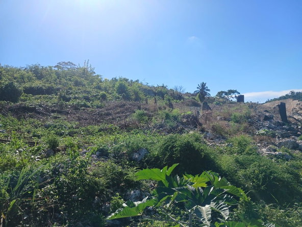 Sixth image of Land Part of Greenvale pe in MILE GULLY, Manchester, Jamaica - property is For Sale