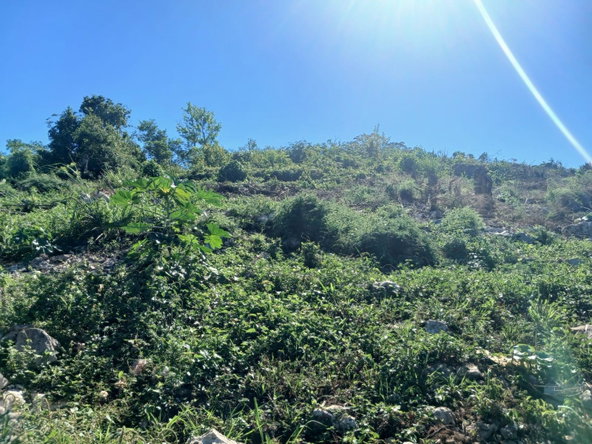 Seventh image of Land Part of Greenvale pe in MILE GULLY, Manchester, Jamaica - property is For Sale