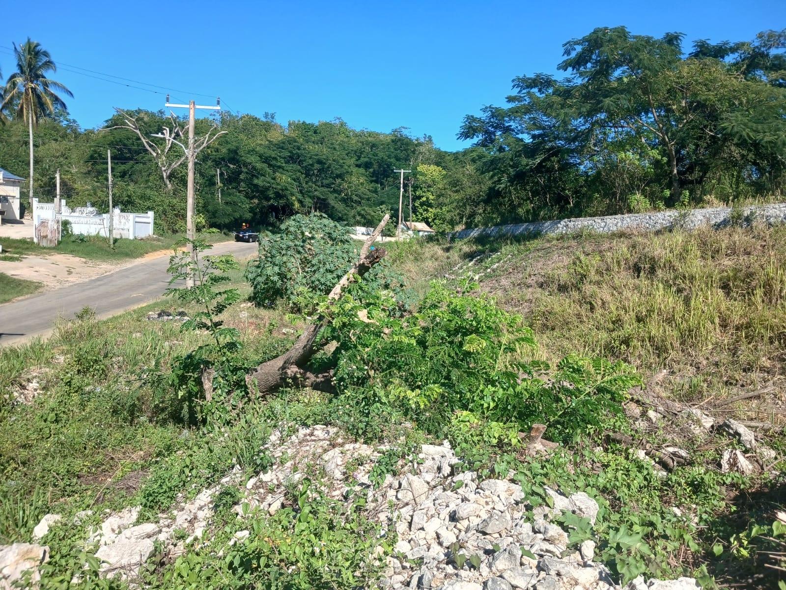 Eighth image of Land Part of Greenvale pe in MILE GULLY, Manchester, Jamaica - property is For Sale