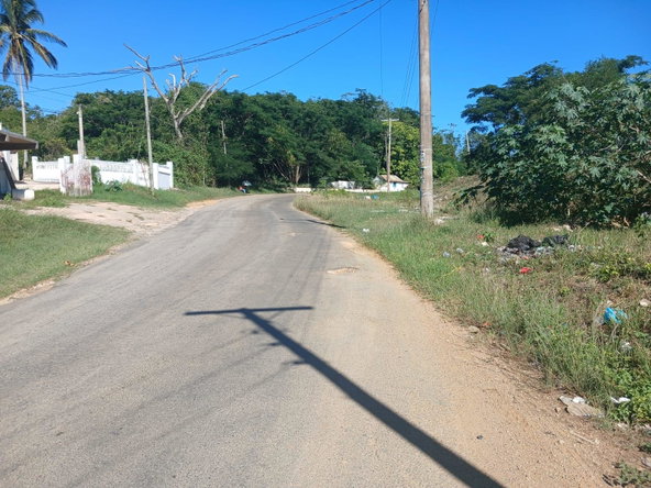 Ninth image of Land Part of Greenvale pe in MILE GULLY, Manchester, Jamaica - property is For Sale
