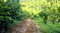 First image of Tom's Hope in Toms Hope, Portland, Jamaica - property is For Sale