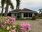 First image of 437 Cool Shade in Laughlands, St. Ann, Jamaica - property is For Rent