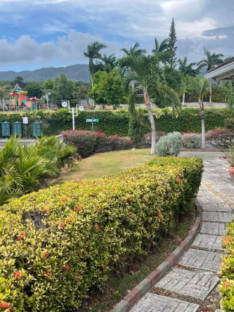 Twenty-Fourth image of 437 Cool Shade in Laughlands, St. Ann, Jamaica - property is For Rent