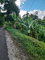 First image of Lot #45 Red Hassell in Port Antonio, Portland, Jamaica - property is For Sale