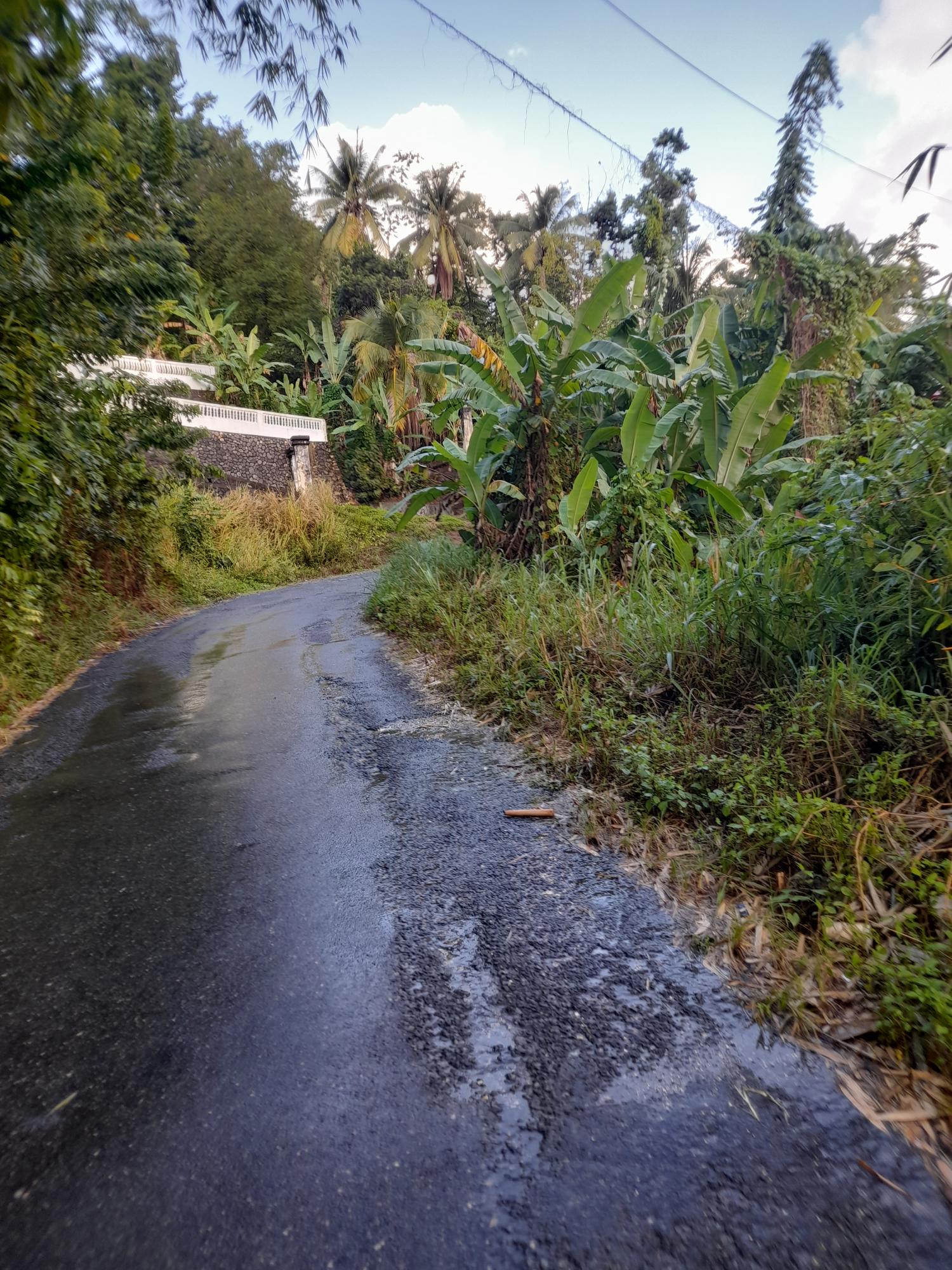 Fourth image of Lot #45 Red Hassell in Port Antonio, Portland, Jamaica - property is For Sale