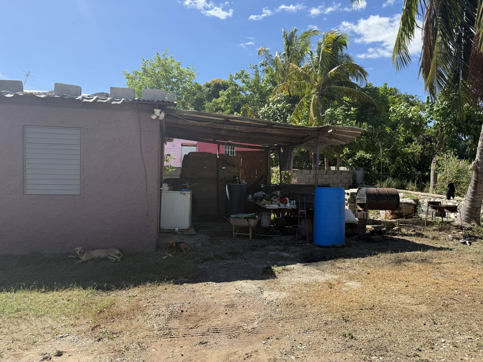 Thirteenth image of Lot 19 Cedar Grove in Bushy Park, St. Catherine, Jamaica - property is For Sale