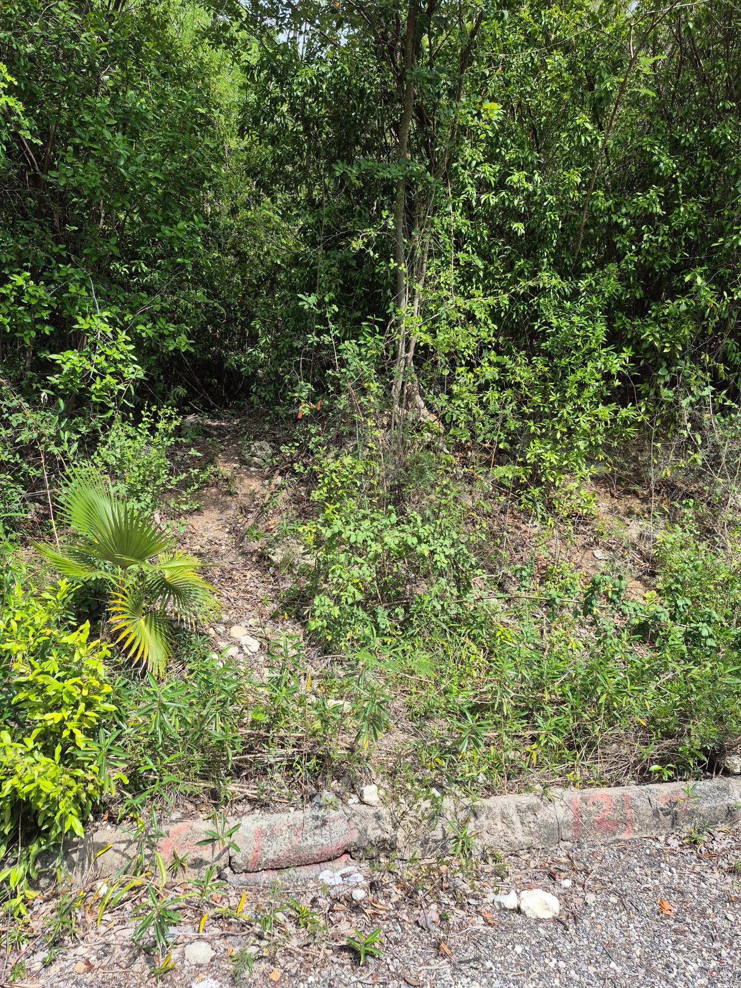 Second image of Lot 39 Albion Heights Boulevard, in Albion, St. Thomas, Jamaica - property is For Sale