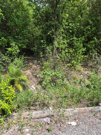 Second image of Lot 39 Albion Heights Boulevard, in Albion, St. Thomas, Jamaica - property is For Sale