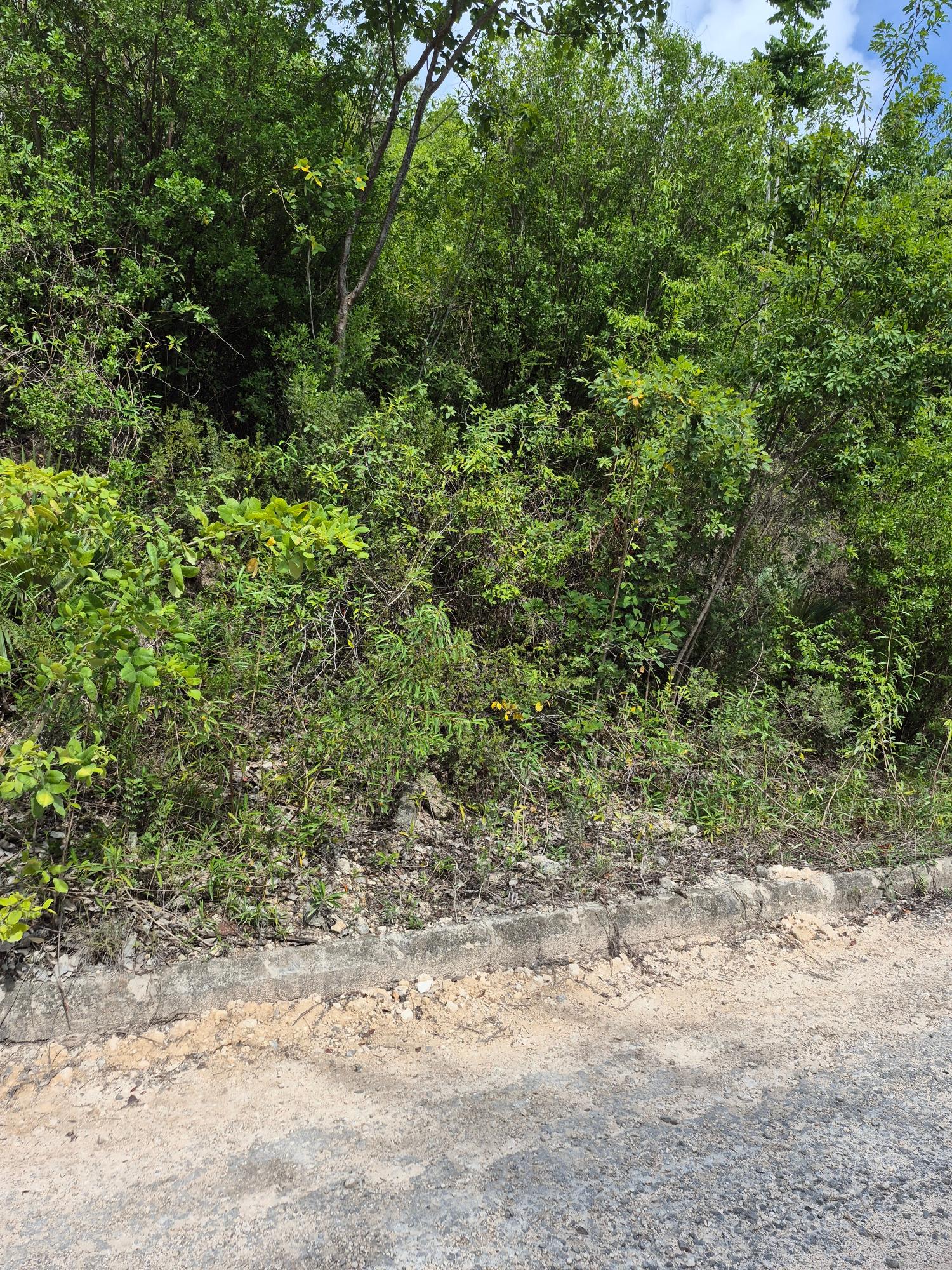 First image of Block D-lot 101 Albion Heights Boulevard in Albion, St. Thomas, Jamaica - property is For Sale