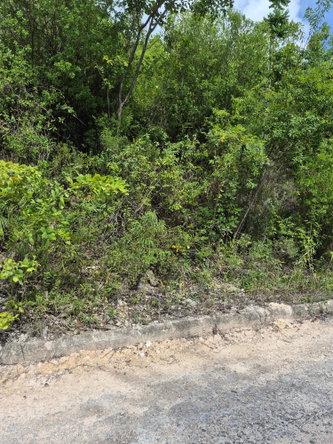 First image of Block D-lot 101 Albion Heights Boulevard in Albion, St. Thomas, Jamaica - property is For Sale
