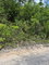 First image of Block D-lot 101 Albion Heights Boulevard in Albion, St. Thomas, Jamaica - property is For Sale